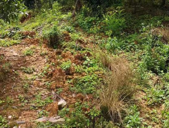 地災監測云平臺成功預警